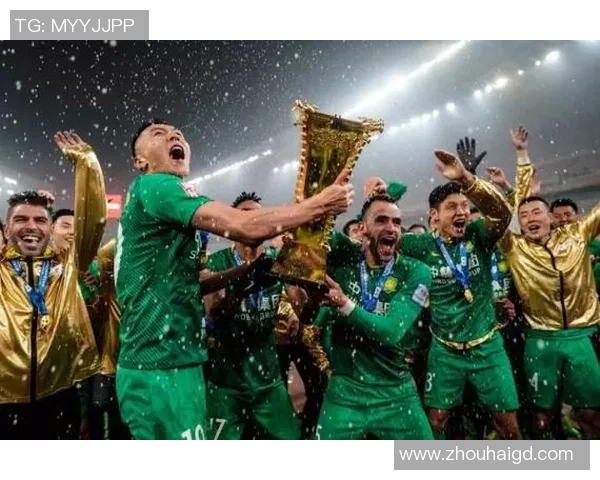 武汉排球队的崛起与蜕变:总决赛背后的奋斗与荣耀故事